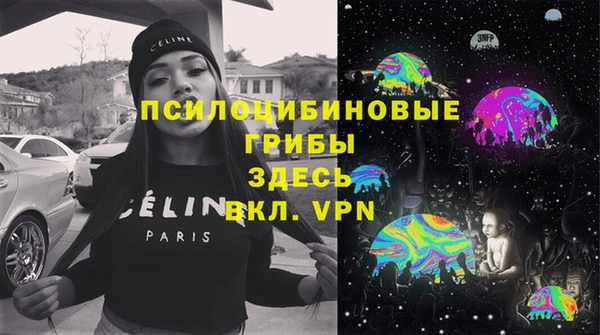 таблы Богородск