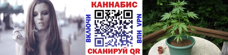 Каннабис план  Мурино 